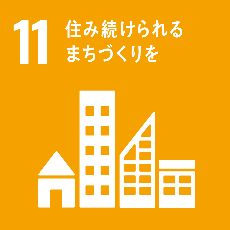 11 SDGs