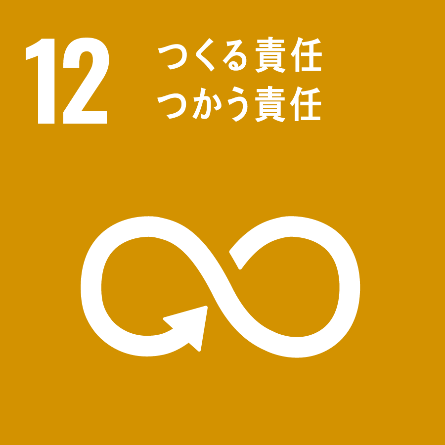 12 SDGs