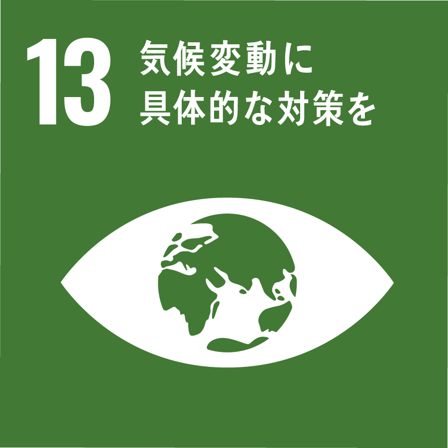 13 SDGs