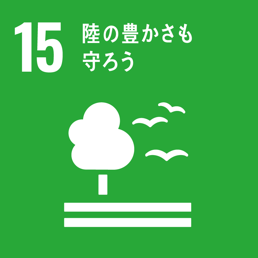 15 SDGs
