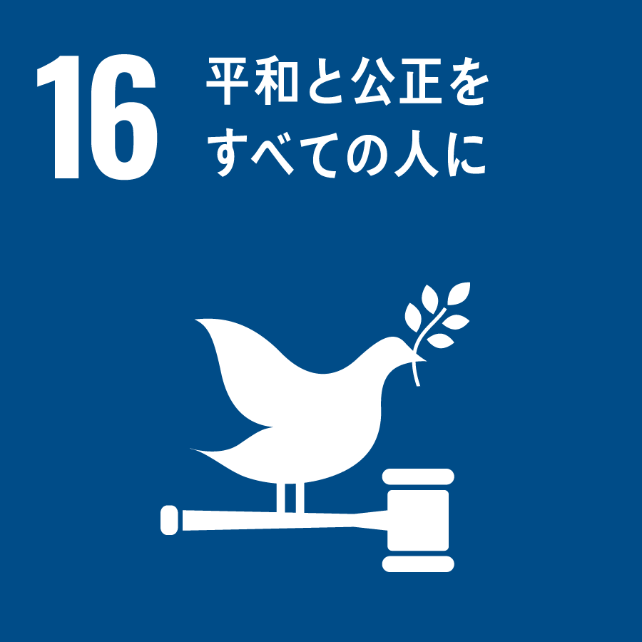 16 SDGs