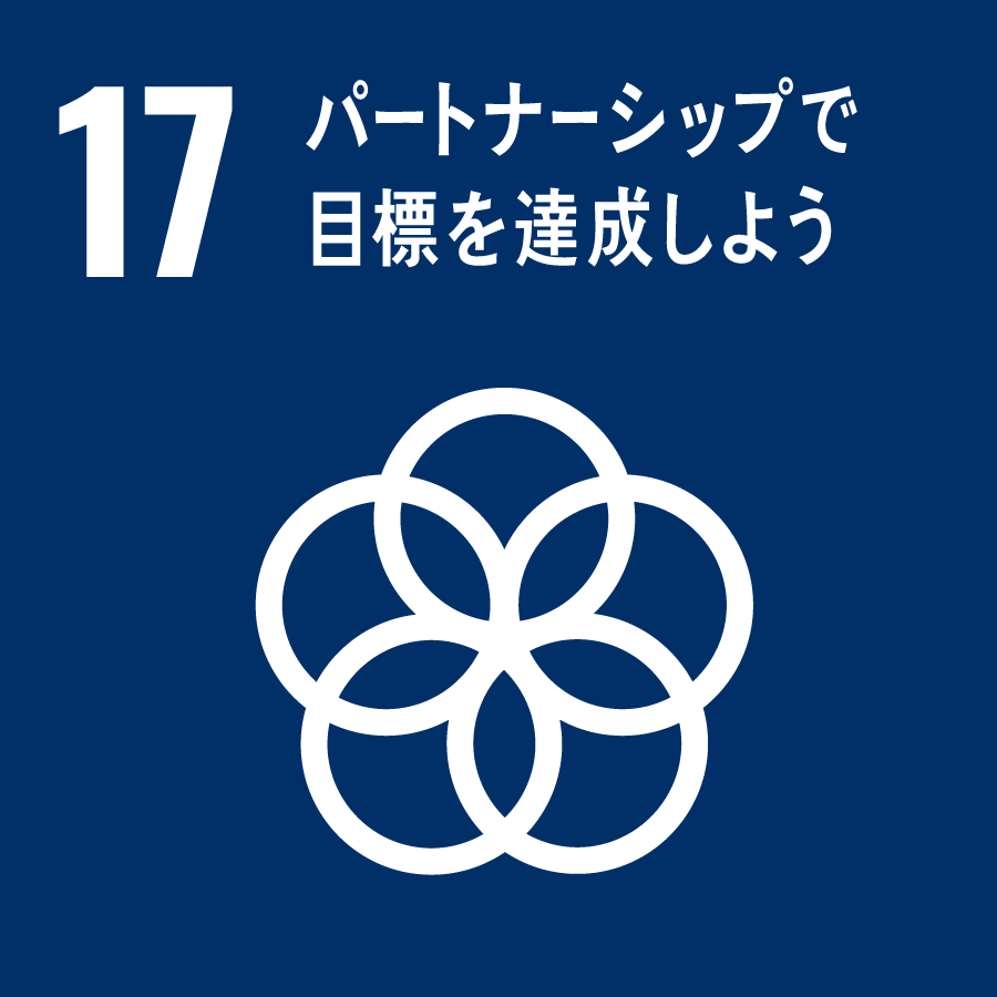 17 SDGs