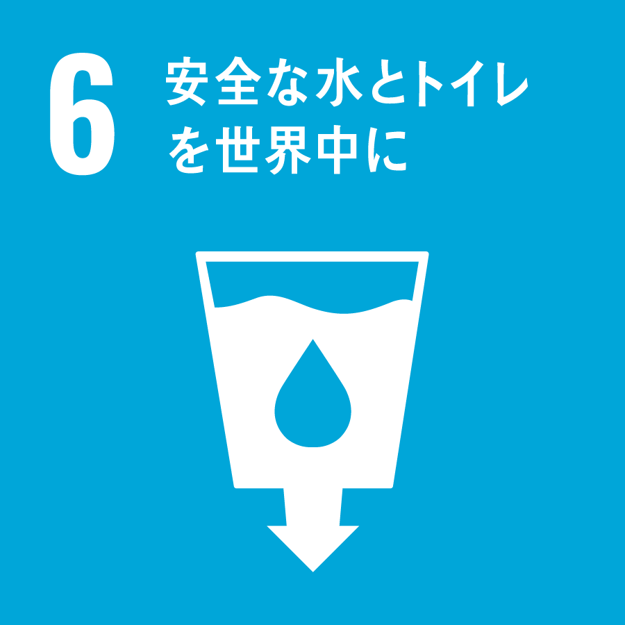 6 SDGs
