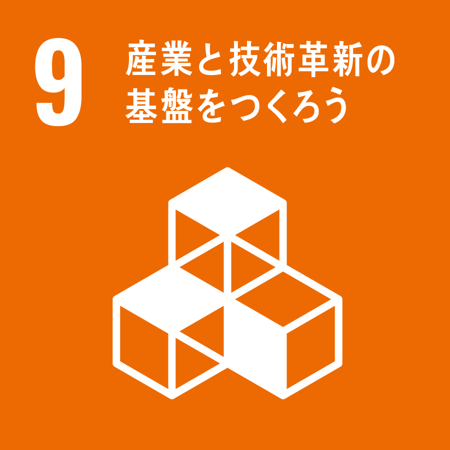 9 SDGs