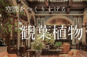 店舗・オフィスの内装デザイン『バルボア・スタジオ株式会社』