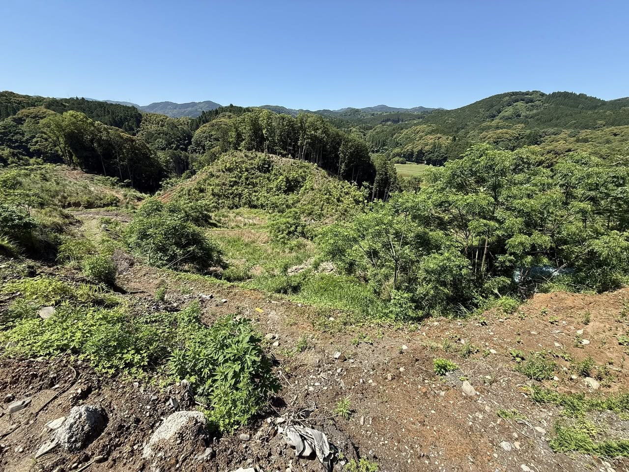 504340706_3124042777771082_7498664794119377782_n 久々の熊本よかよ
