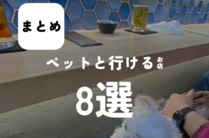 バルボア外観探訪部は…ペットと行けるお店8選をご紹介♪