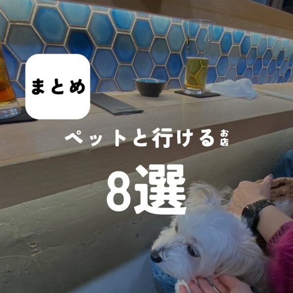 バルボア外観探訪部は…ペットと行けるお店8選をご紹介♪